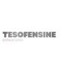 tesof300 228x228 1